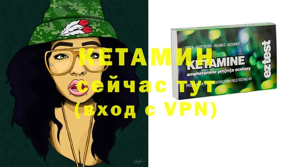 шишки Коряжма
