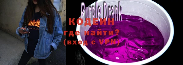 шишки Коряжма