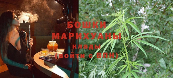 ешки Корсаков