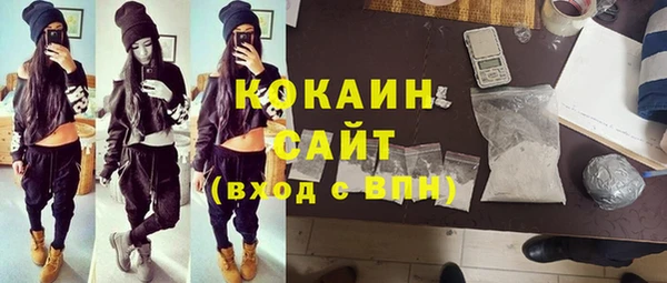 шишки Коряжма