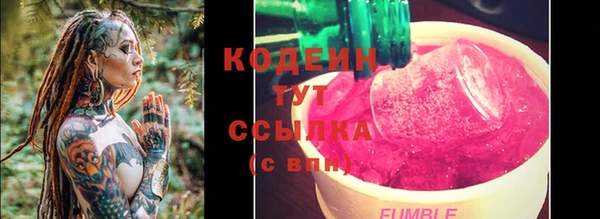 ешки Корсаков